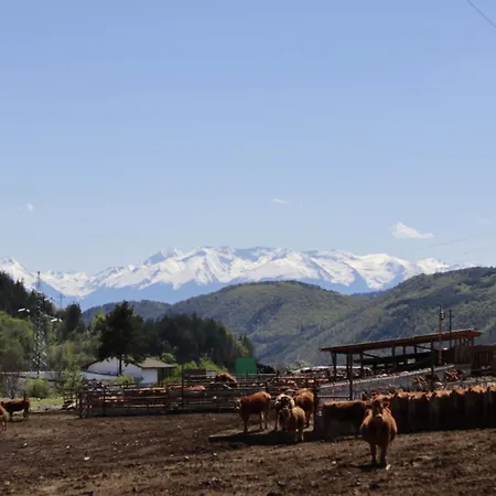 Lägenhet Love Suite Bansko