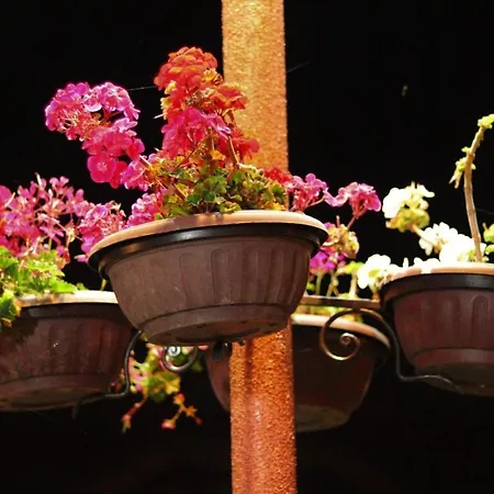 Love Suite Lägenhet