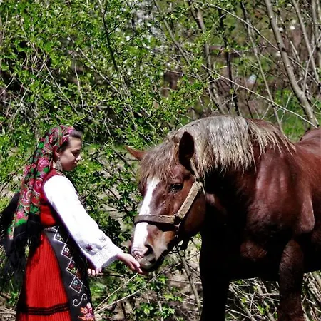 Lägenhet Love Suite Bansko