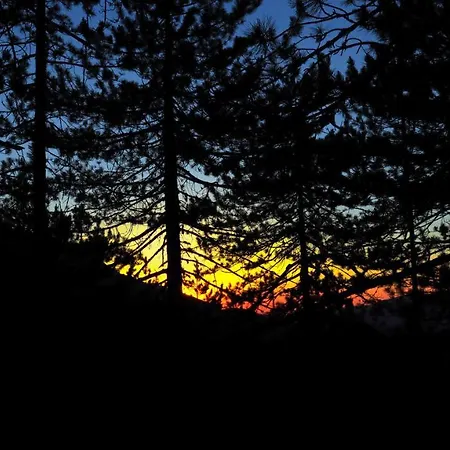 Love Suite Lägenhet Bansko