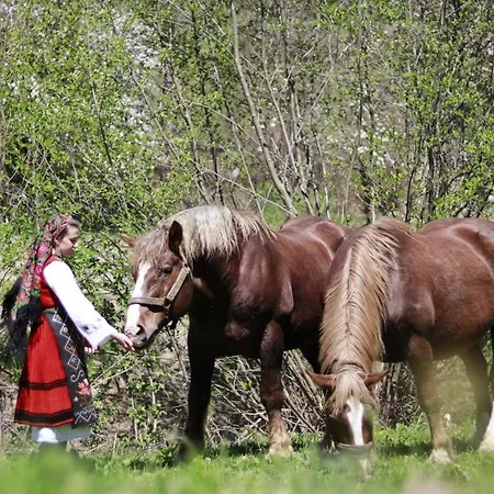 Lägenhet Love Suite