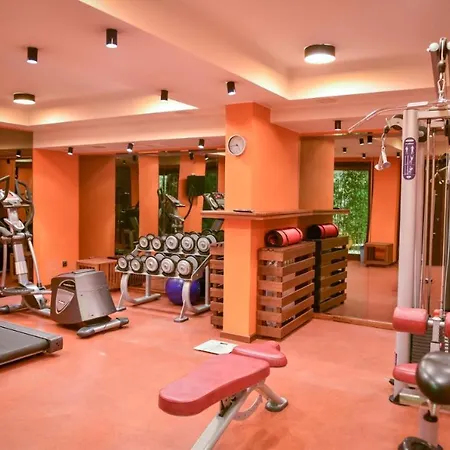 Delux Apartament Bansko