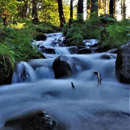 Delux * Bansko